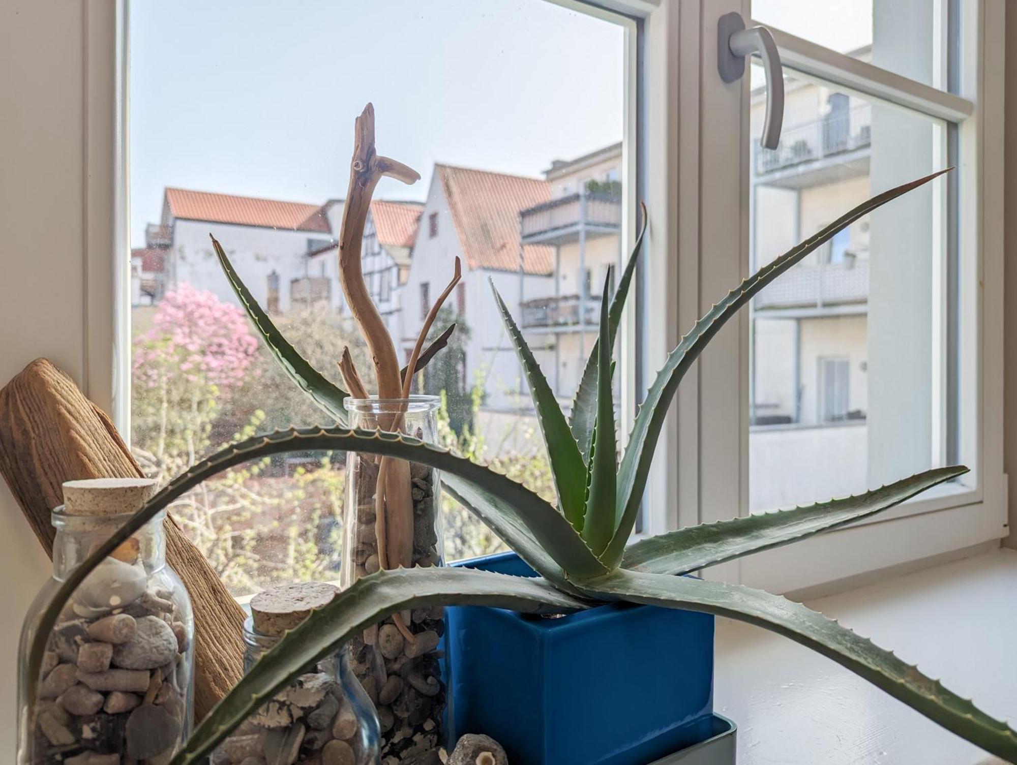 Strelapartment By Meinke Mitten In Der Altstadt Stralsund Ngoại thất bức ảnh